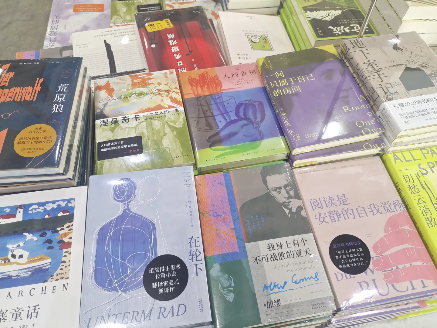 去岳麓书会淘书了