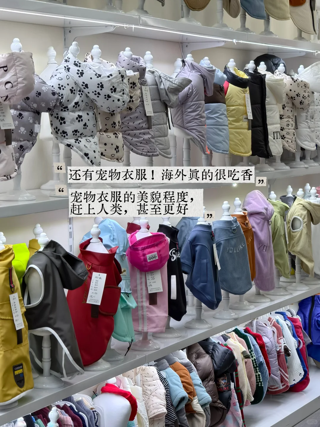 为什么说义乌是适合普通人做跨境的