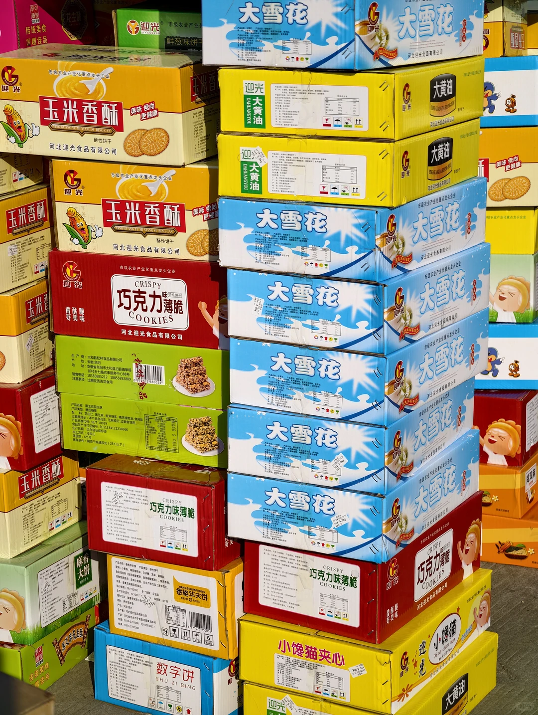 侨乡体育馆这两天有大事发生！！