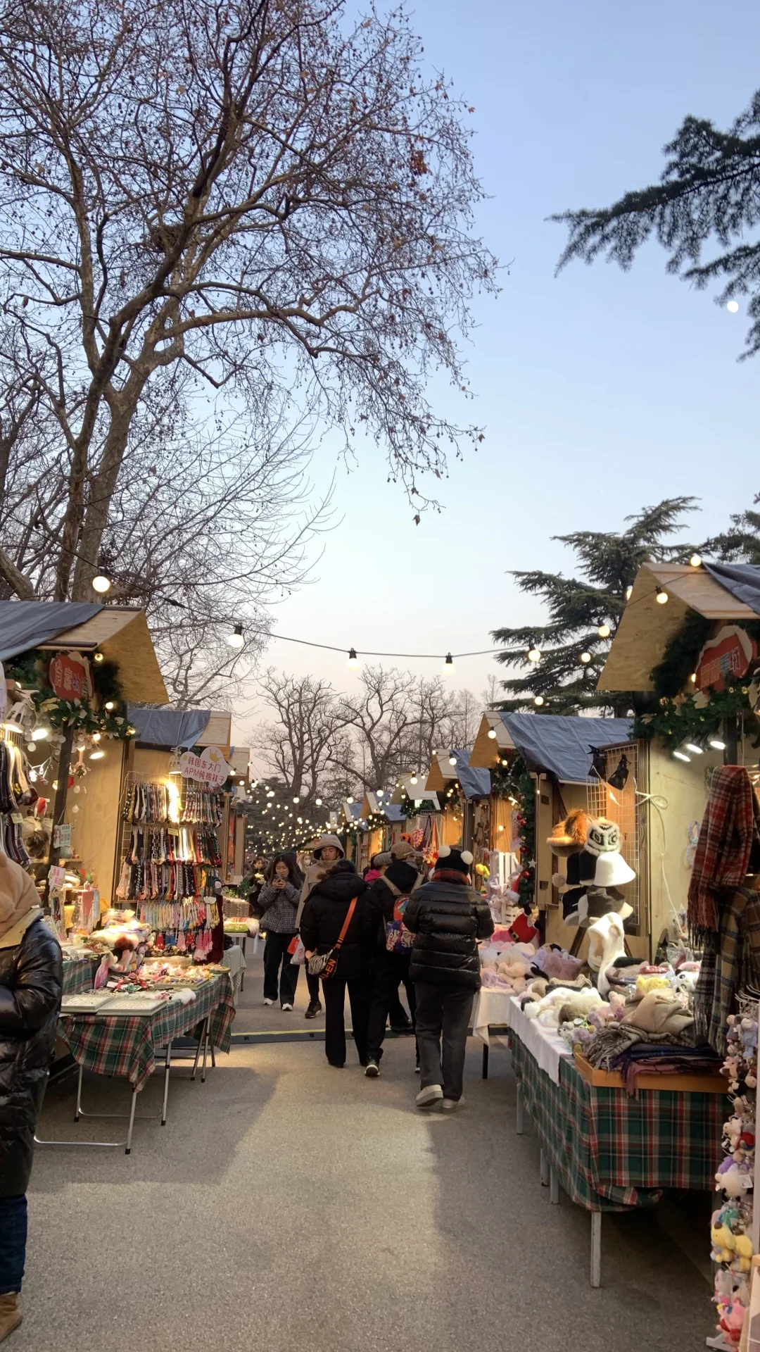 已经在期待今年青岛的圣诞集市了…??‍?