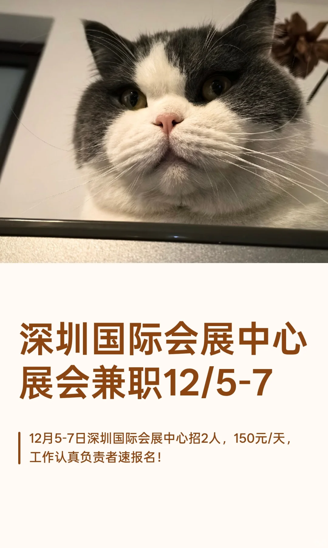 深圳国际会展中心展会兼职12/5-7