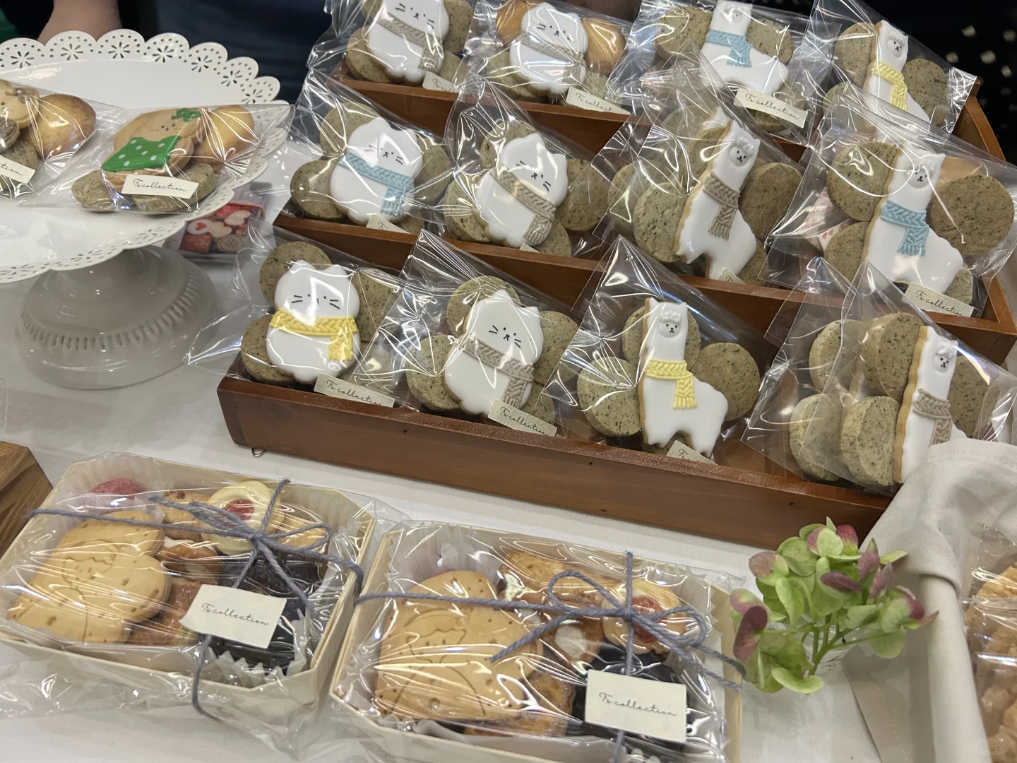 这次的作品诚意满满