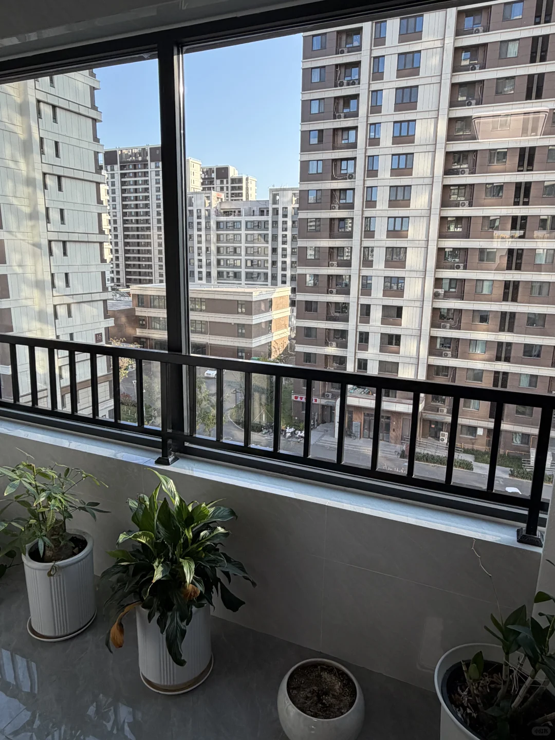 外贸er集合～找搭子