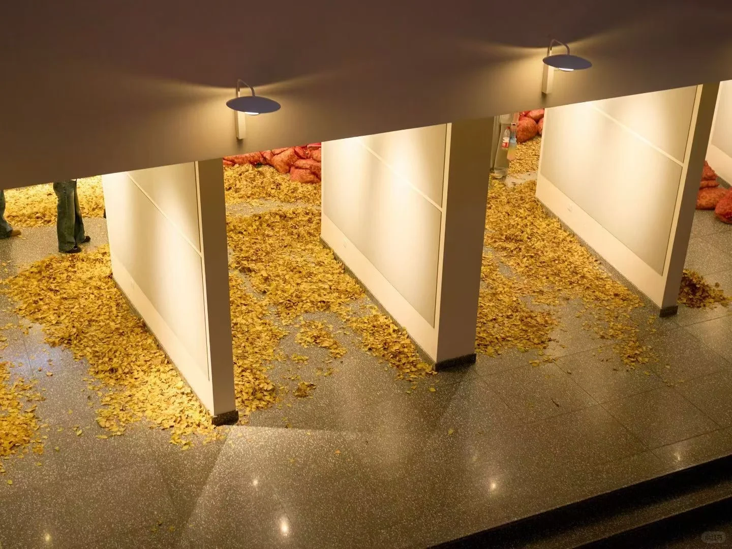 秋天降临设计大楼?上交设计有新展了！