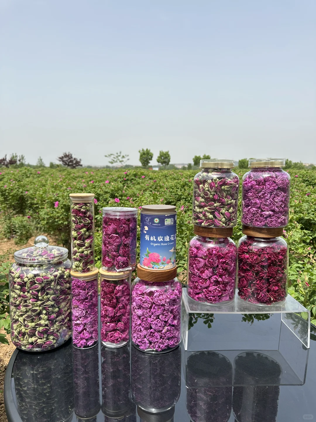 今天友好市集报名通过了，昨天还吐槽不给过