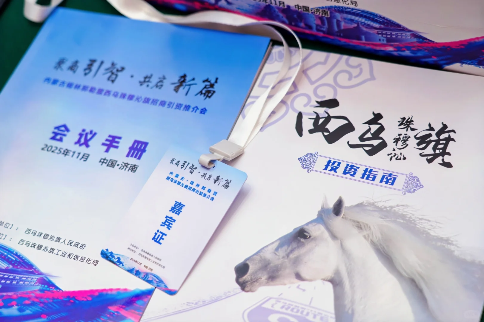 超有氛围的招商推介会～