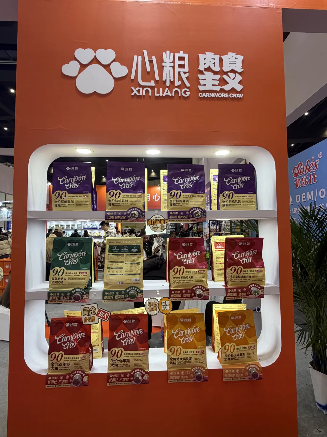 郑州养宠人集合！会展中心宠物展太好逛了！