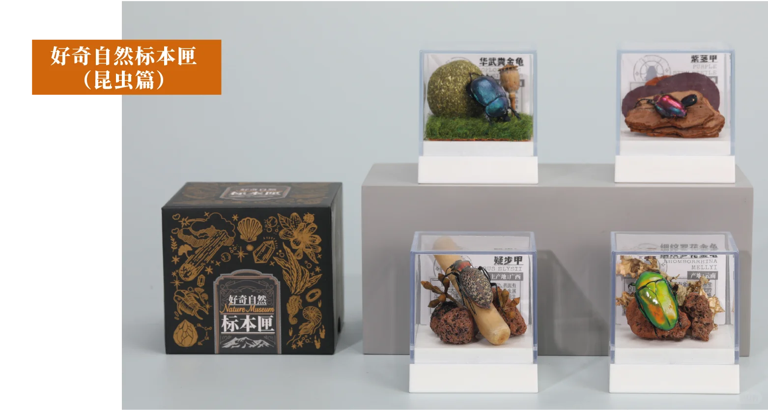 2025广州文化产业交易会·展商速递