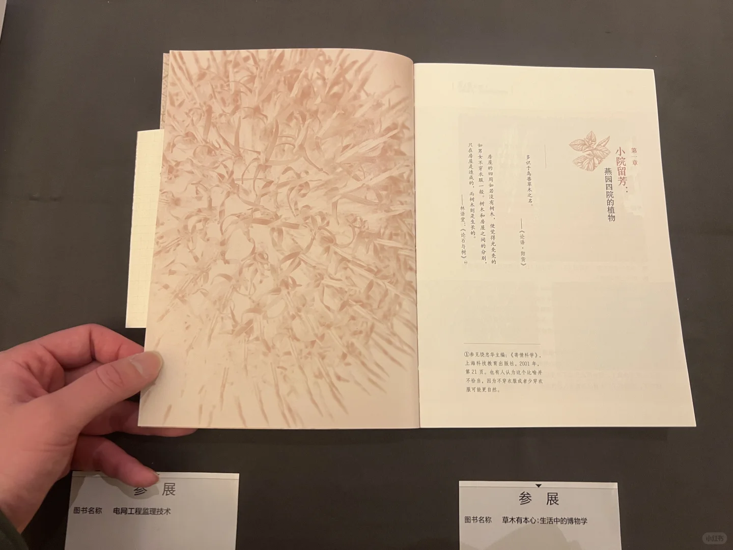 崔老师书籍装帧设计?