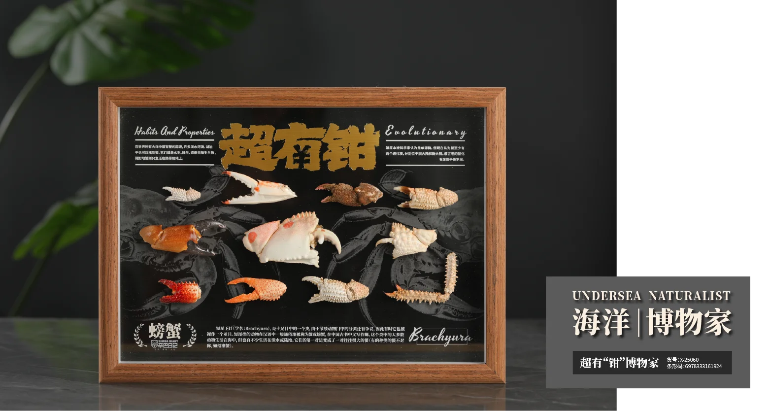 2025广州文化产业交易会·展商速递