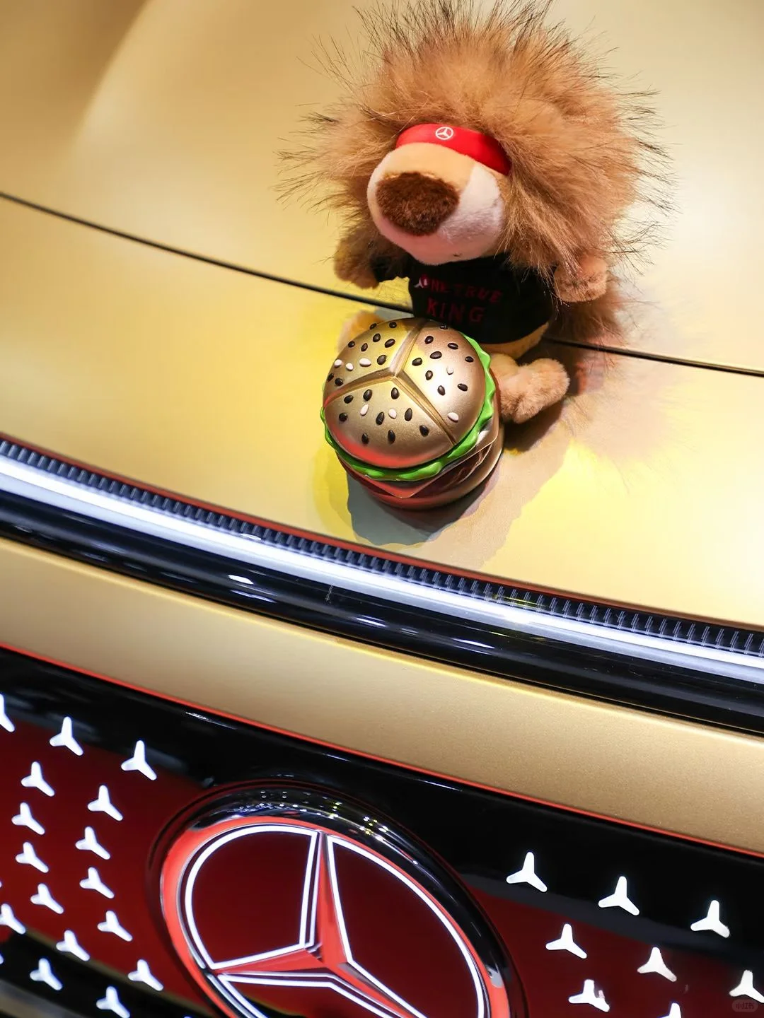 ?就喜欢这个金牛座CLA和小狮子?