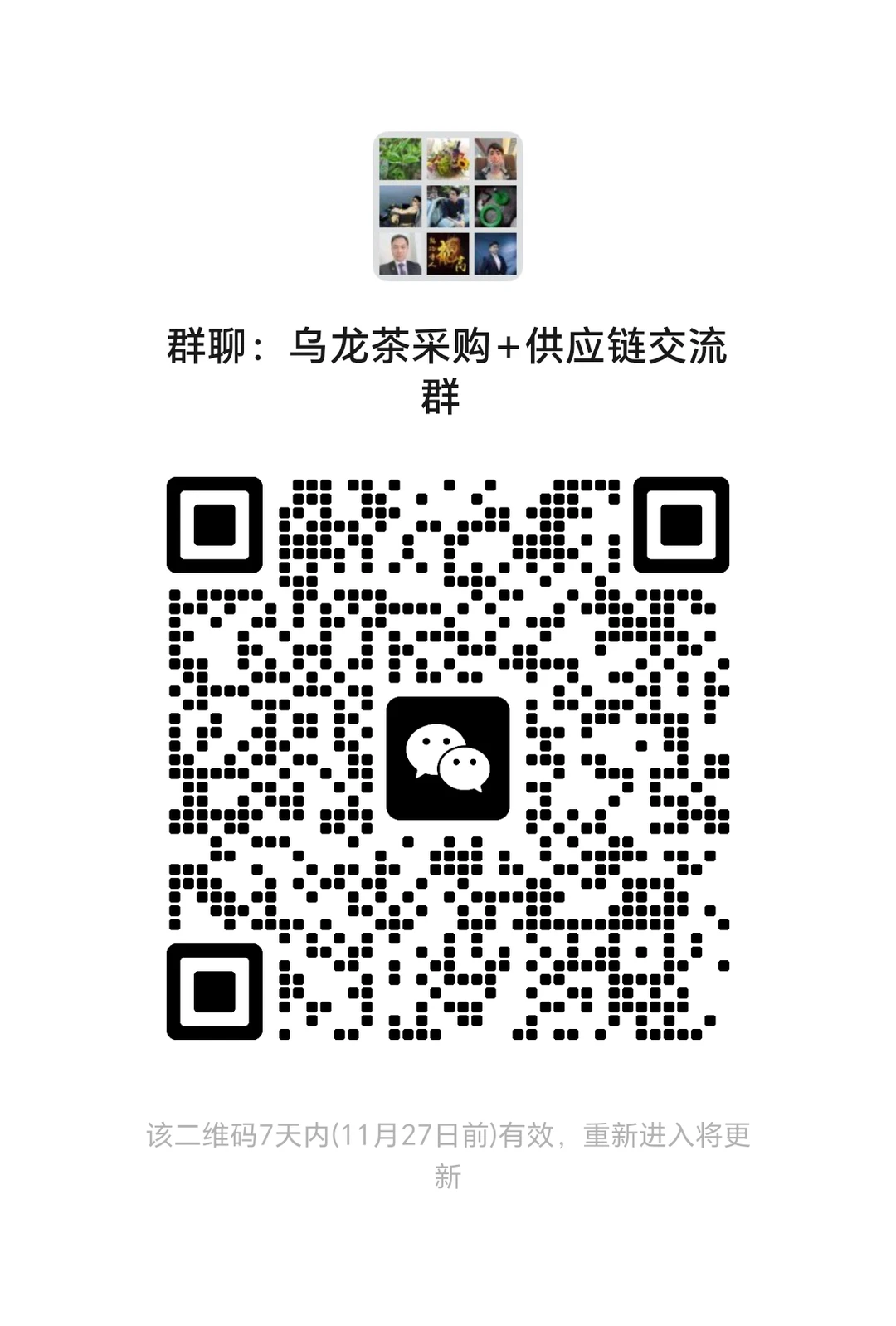 茶叶采购+供应链交流群