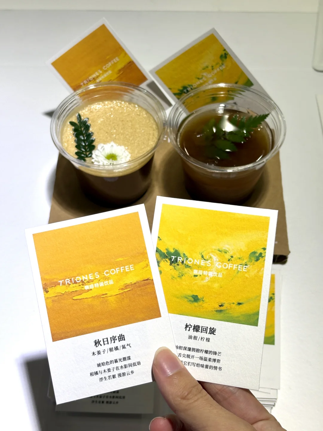 厦门人接到通知了吗！！2025厦门咖啡展来了！！