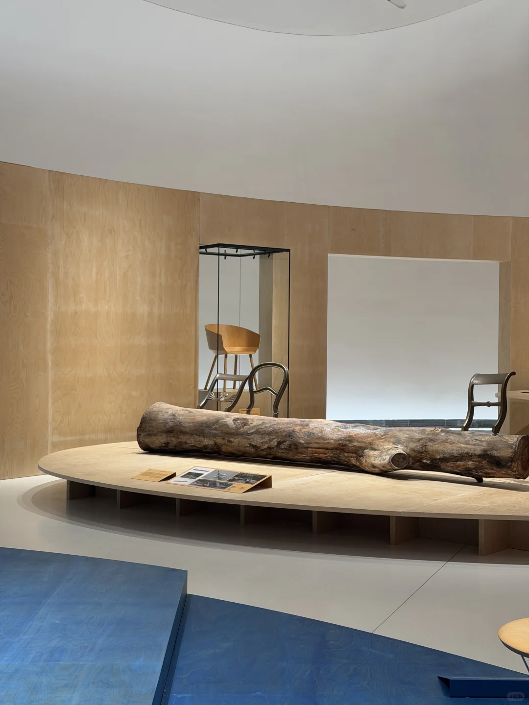 深圳湾值得一看的家具展