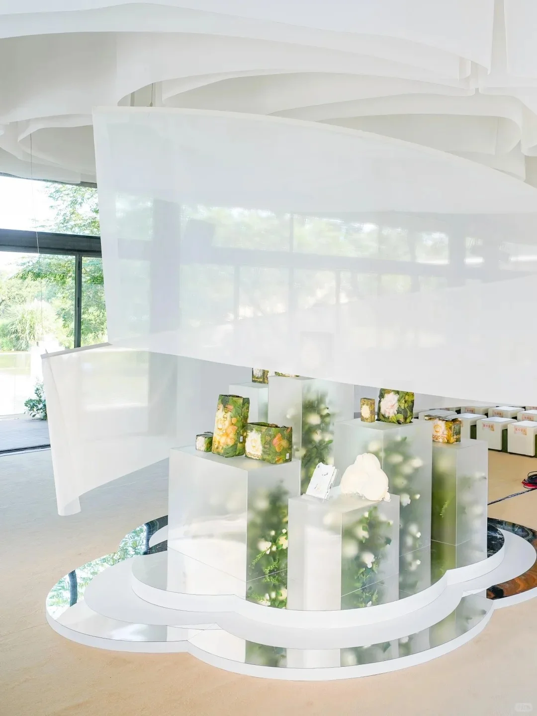 见证88场创意活动|Babycare金·山茶沙龙会