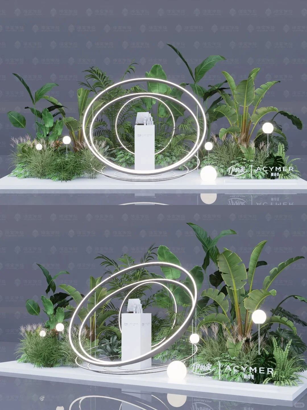 活动设计—2025年小美人新品发布会