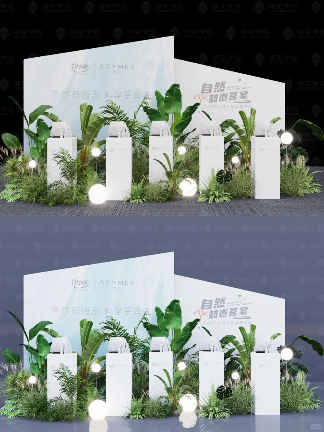 活动设计—2025年小美人新品发布会