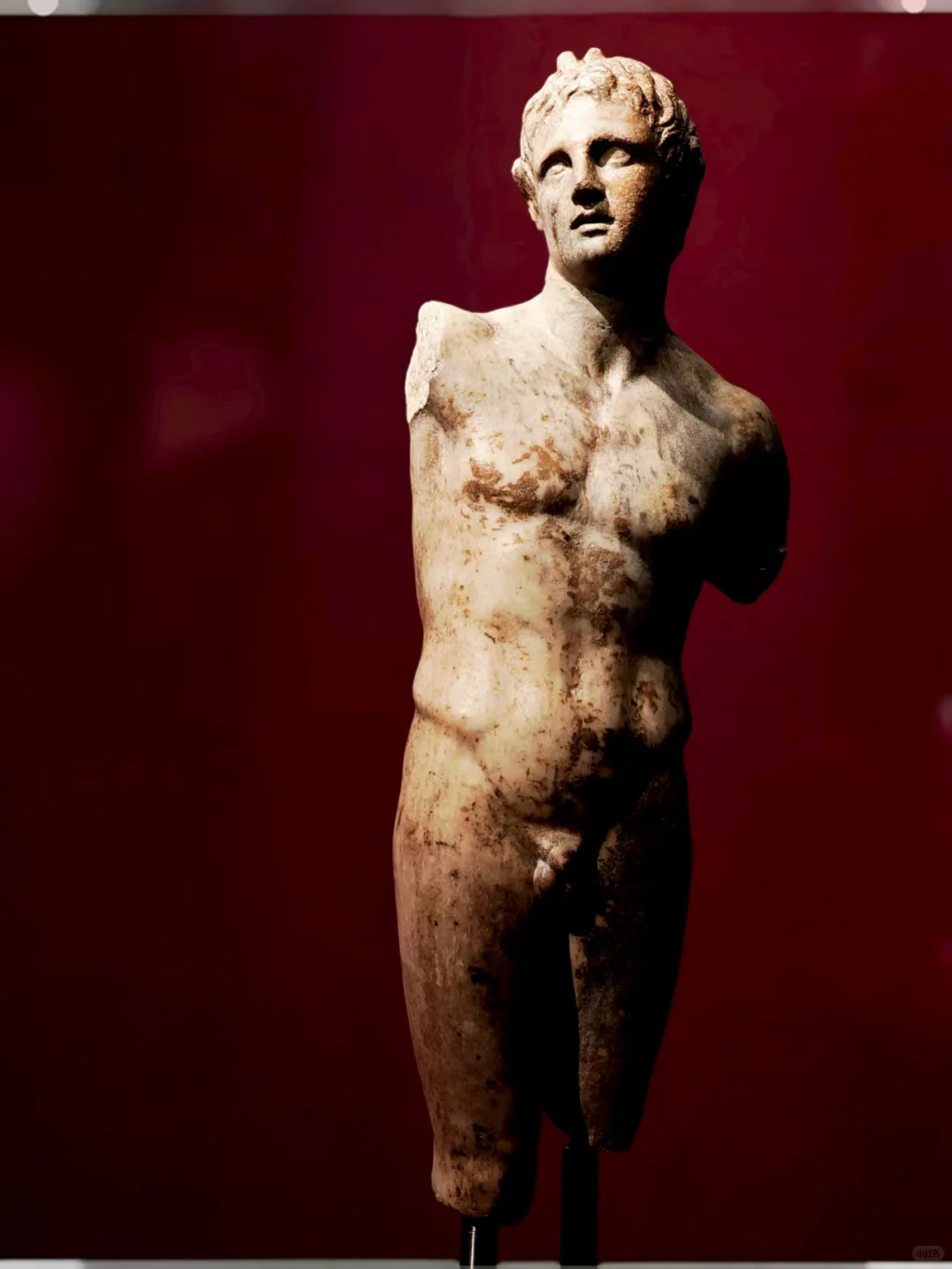 看展：希腊人--从阿加门农到亚历山大（三）