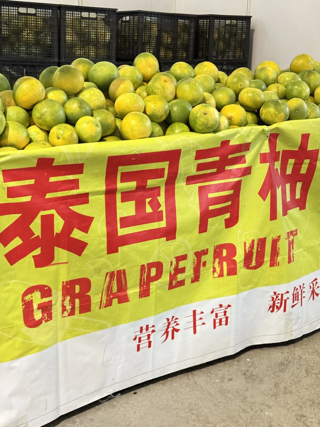 济南必逛展会！0元打卡全球好物