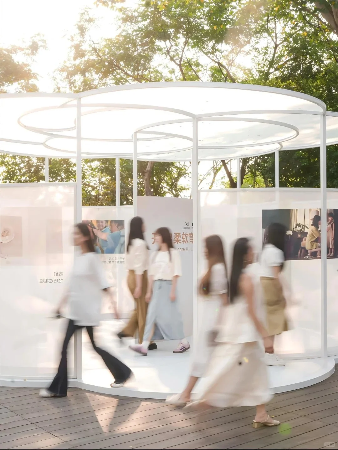 见证88场创意活动|Babycare金·山茶沙龙会