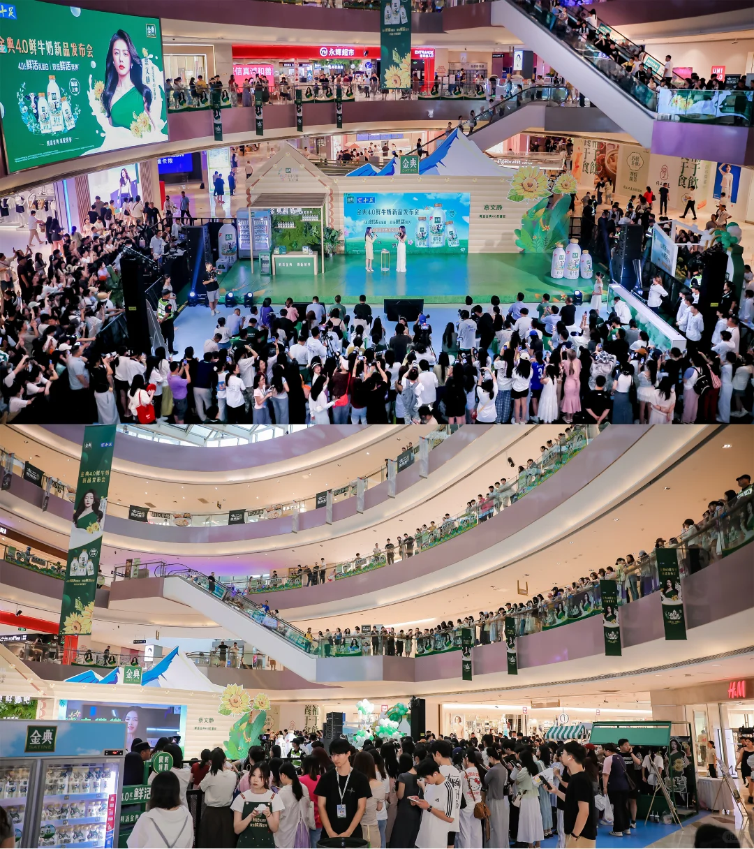 get蔡文静同款新品！金典4.0发布会现场直击