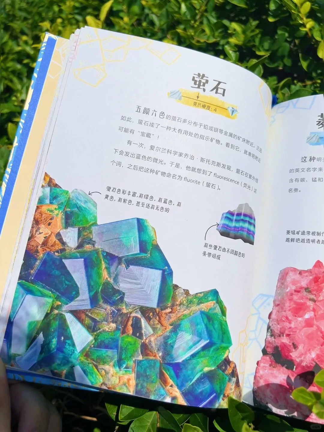 ?送30颗真矿石！实物超惊艳（收到被美晕