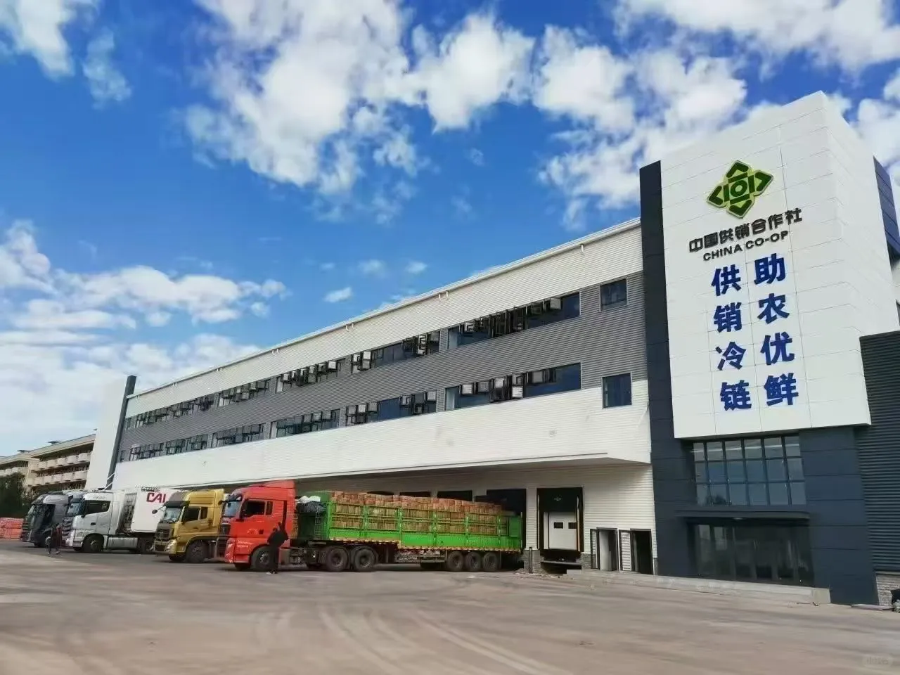 供销社年货大集2025最后一波采购