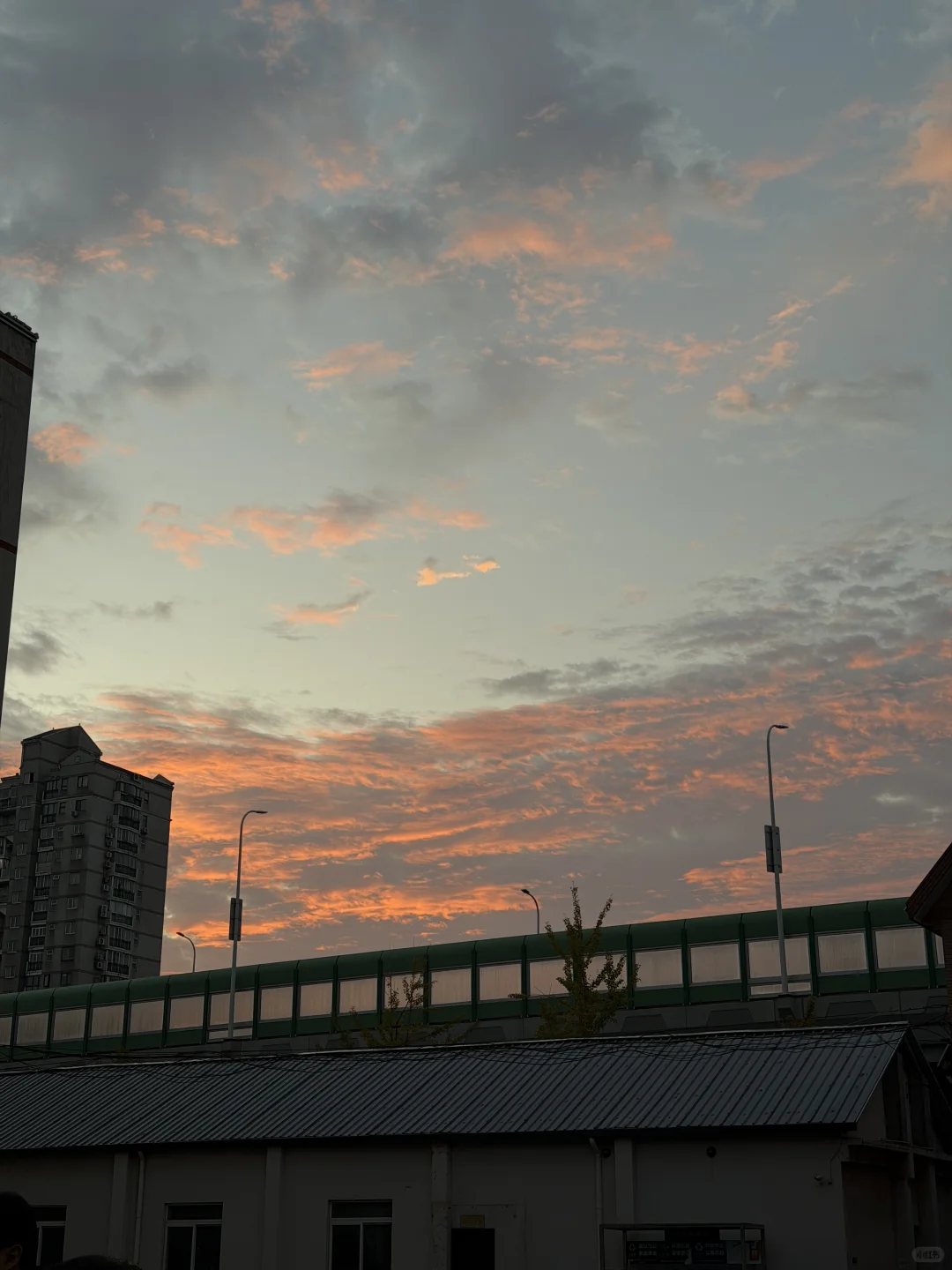 进博会结束后的两周...