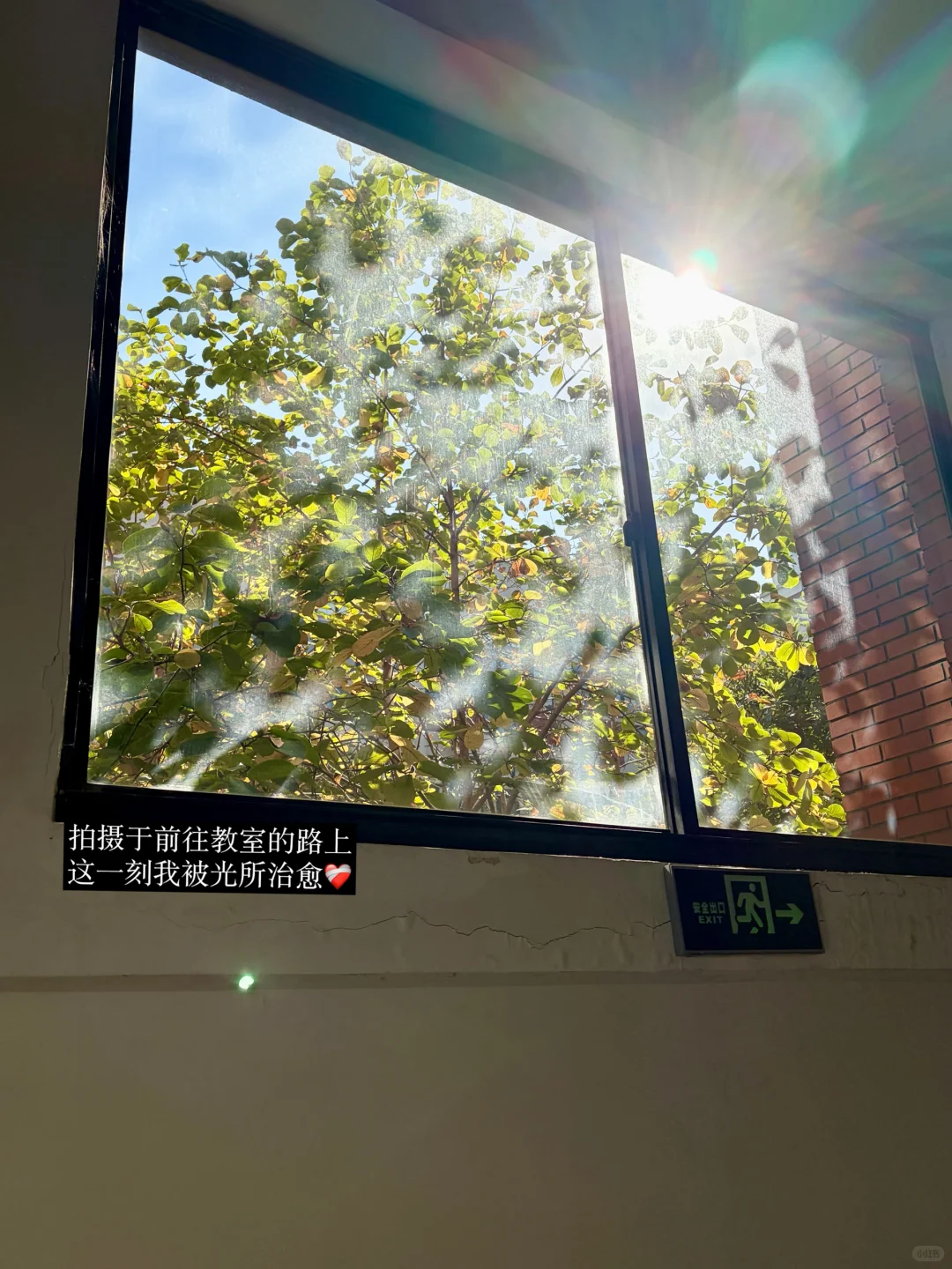 华政大一｜我们去新的秋天里再见???