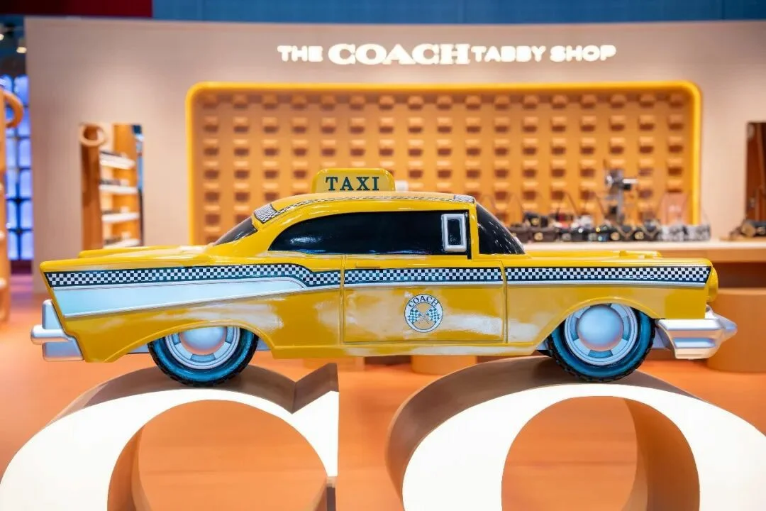 善纳设计丨带您云走进2025进博会丨泰佩思琦