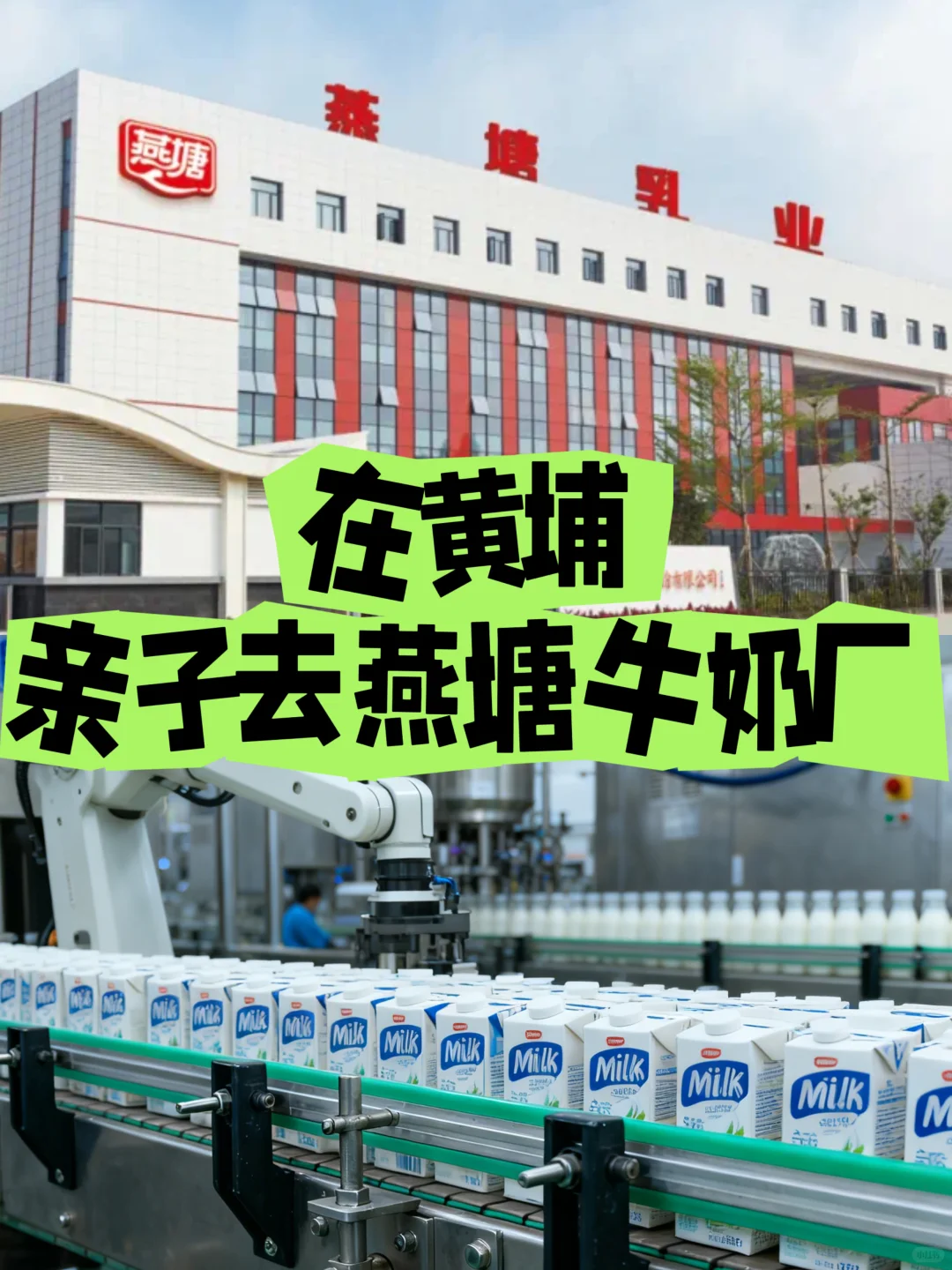 广州溜娃|开放‼️带娃去参观燕塘牛奶生产线