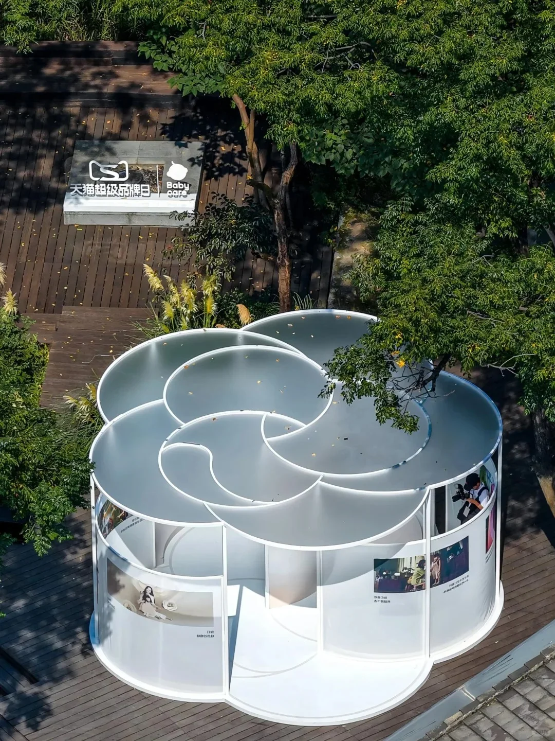 见证88场创意活动|Babycare金·山茶沙龙会