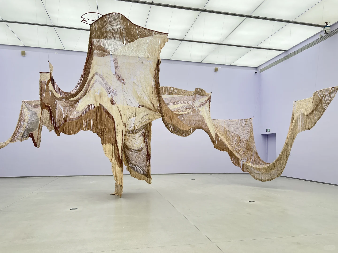 逛完这个展像给大脑做了场排毒?‍♀️