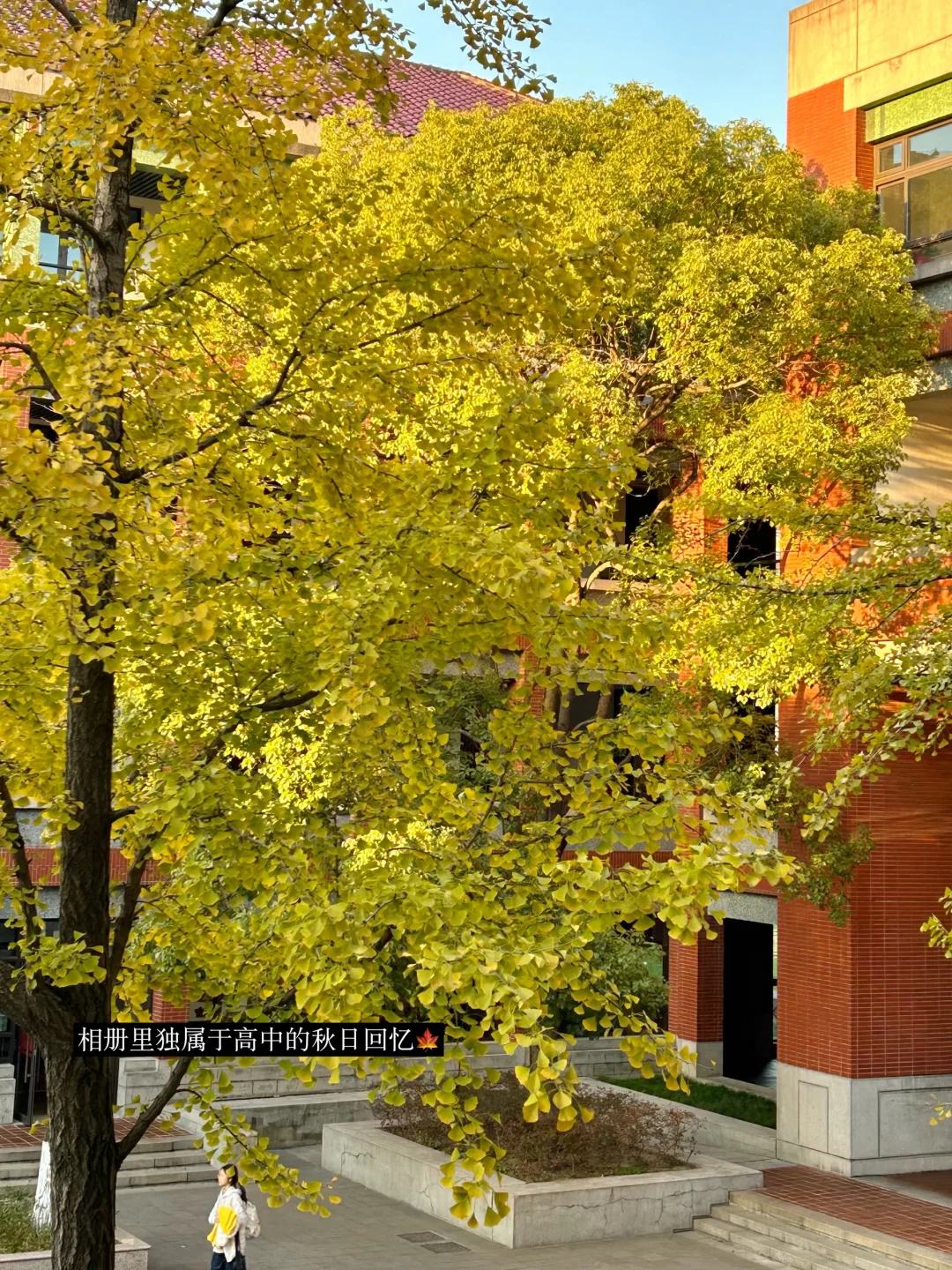 华政大一｜我们去新的秋天里再见???