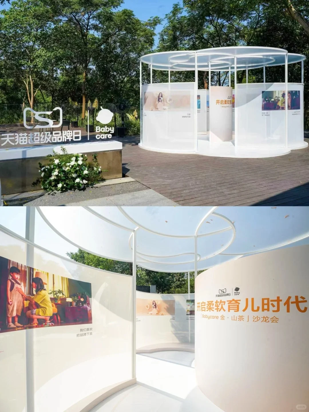 见证88场创意活动|Babycare金·山茶沙龙会