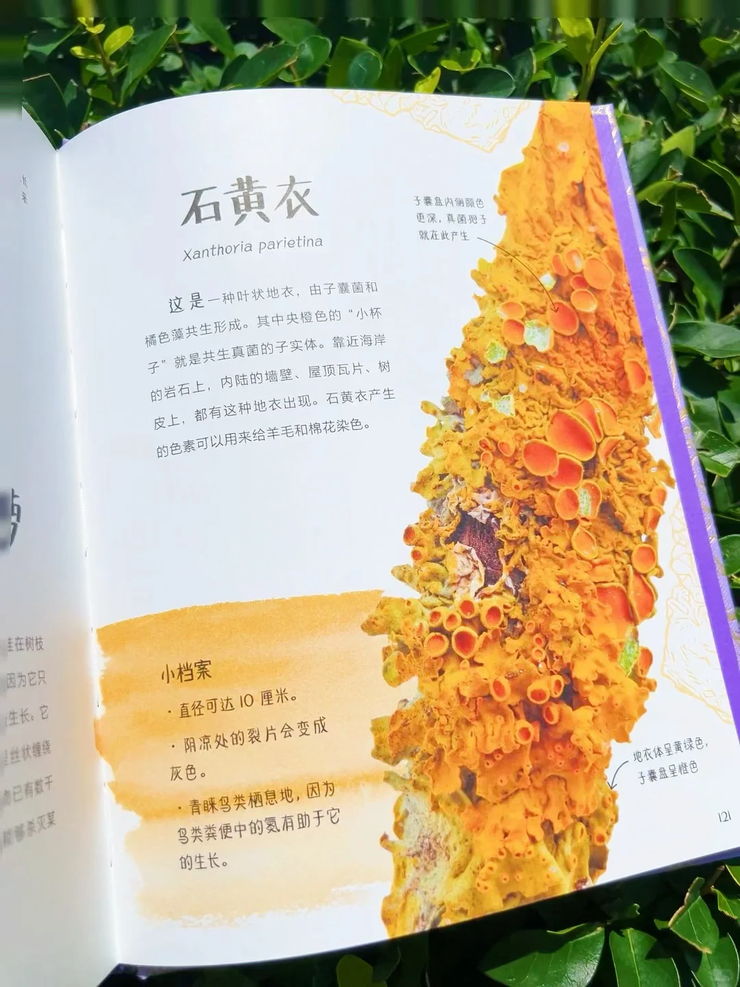 ?送30颗真矿石！实物超惊艳（收到被美晕