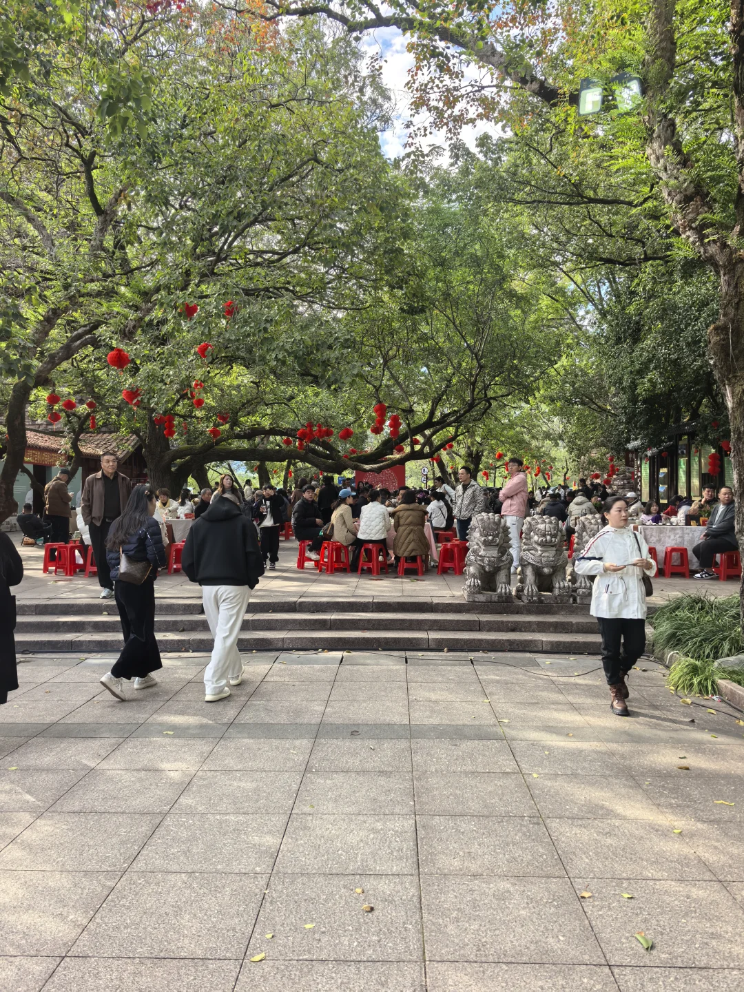 武夷山会议用车·第十七届茶业博览会