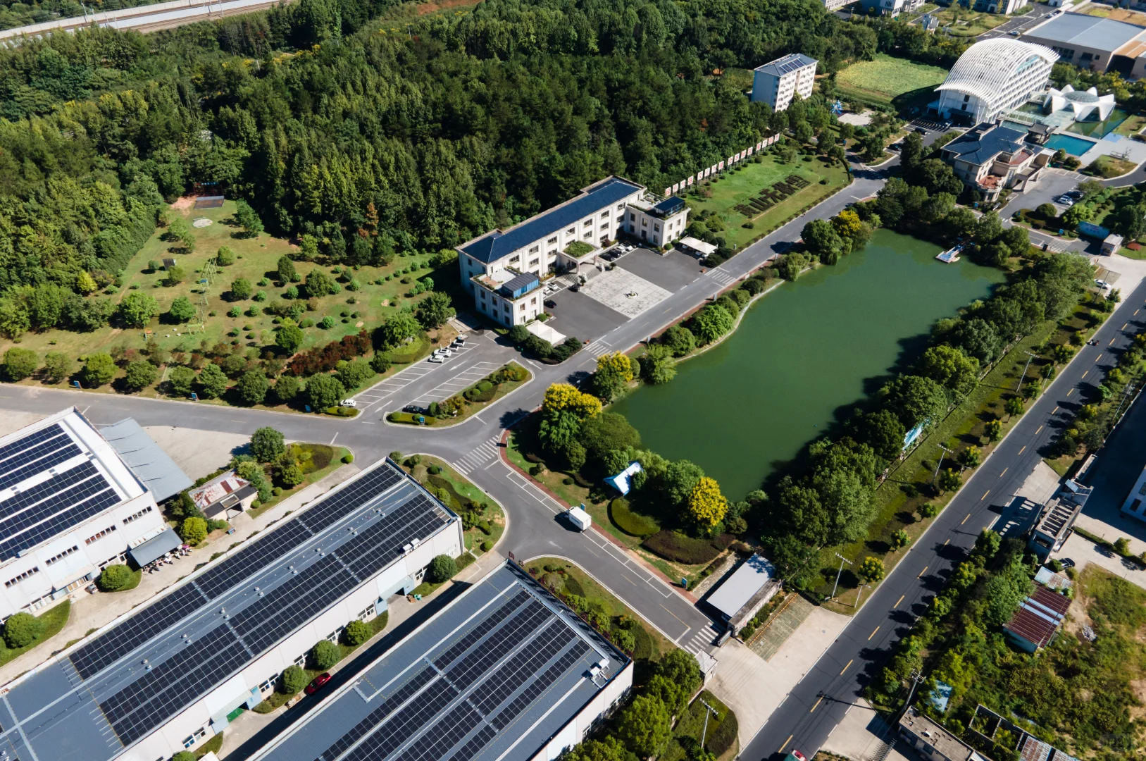 从深岩活泉到现泡茶香，无极雪惊艳亮相