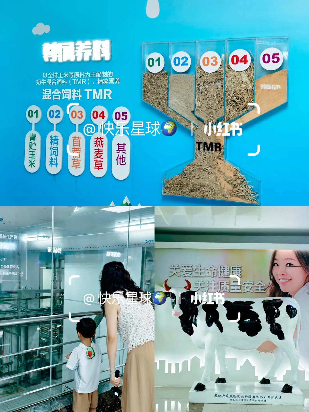 广州溜娃|开放‼️带娃去参观燕塘牛奶生产线