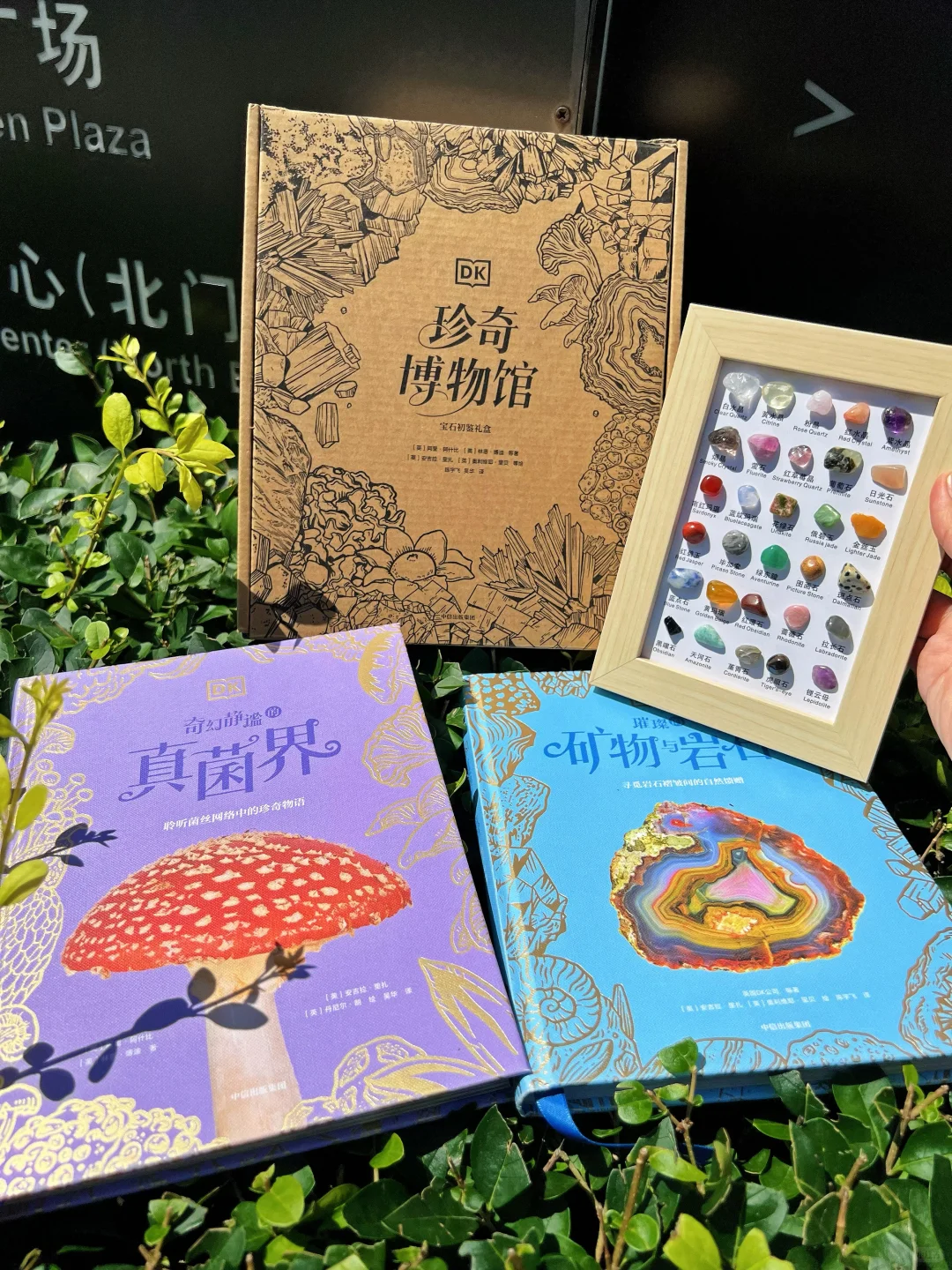 ?送30颗真矿石！实物超惊艳（收到被美晕