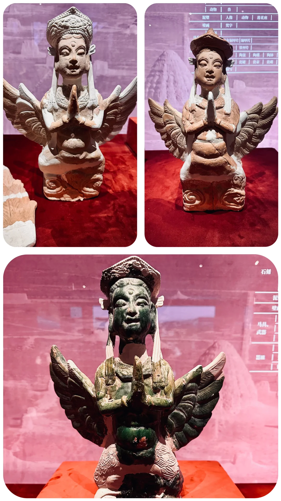 贺兰山下「桃花石」｜西夏文物精品展