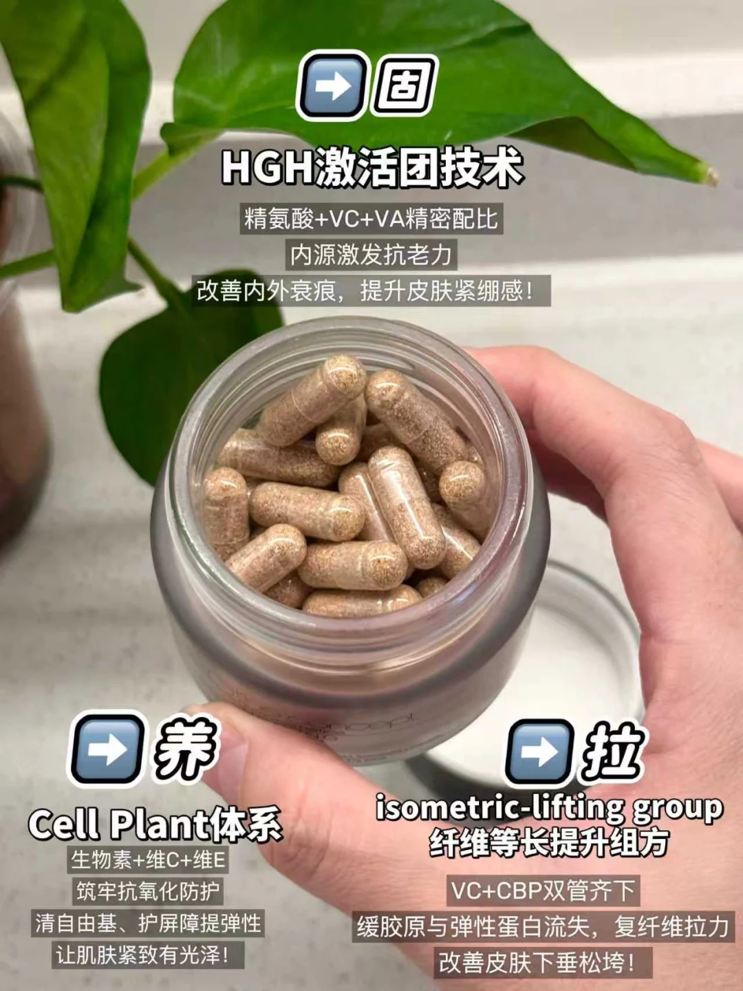 口服实力派空降进博会！