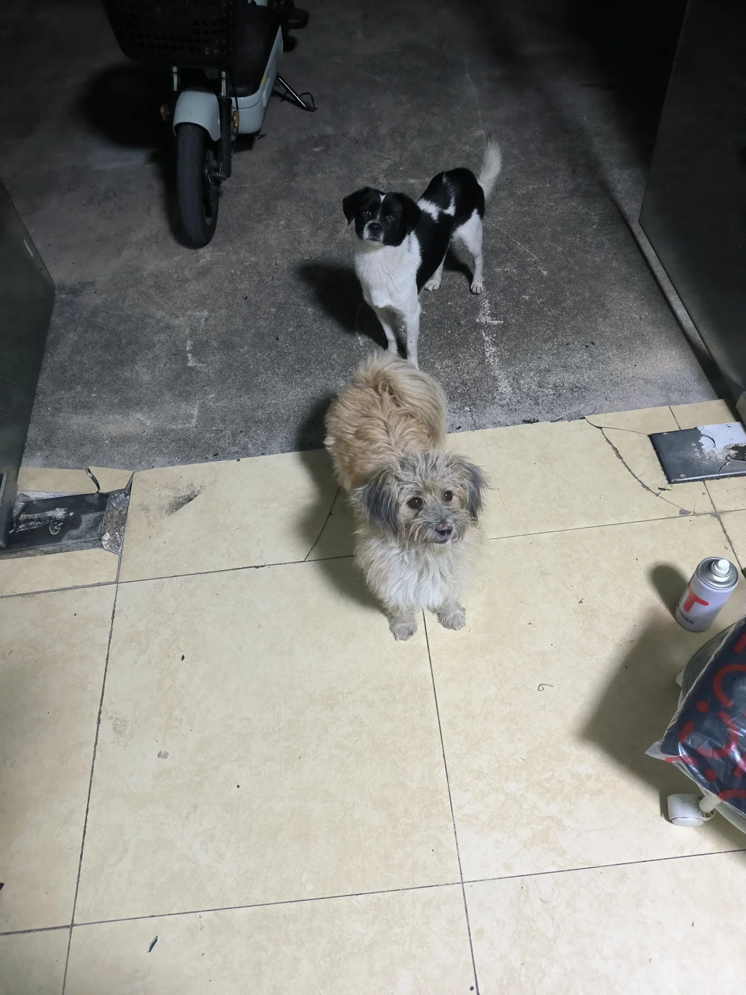 00后靠模型工作室攒了百万（工作室QA）