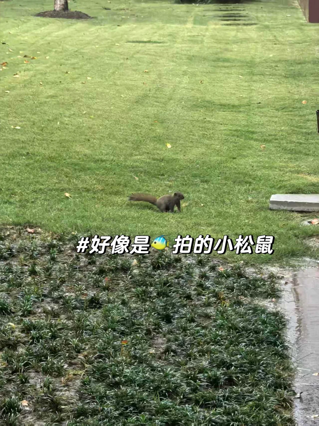 xiii?的SNAI日常｜开学第十二周