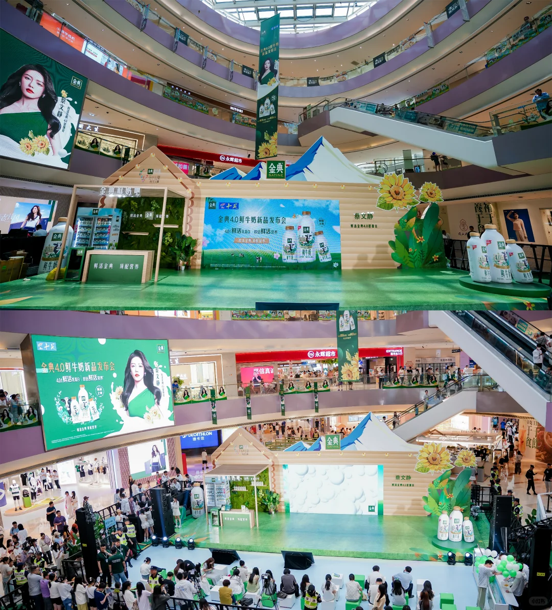 get蔡文静同款新品！金典4.0发布会现场直击