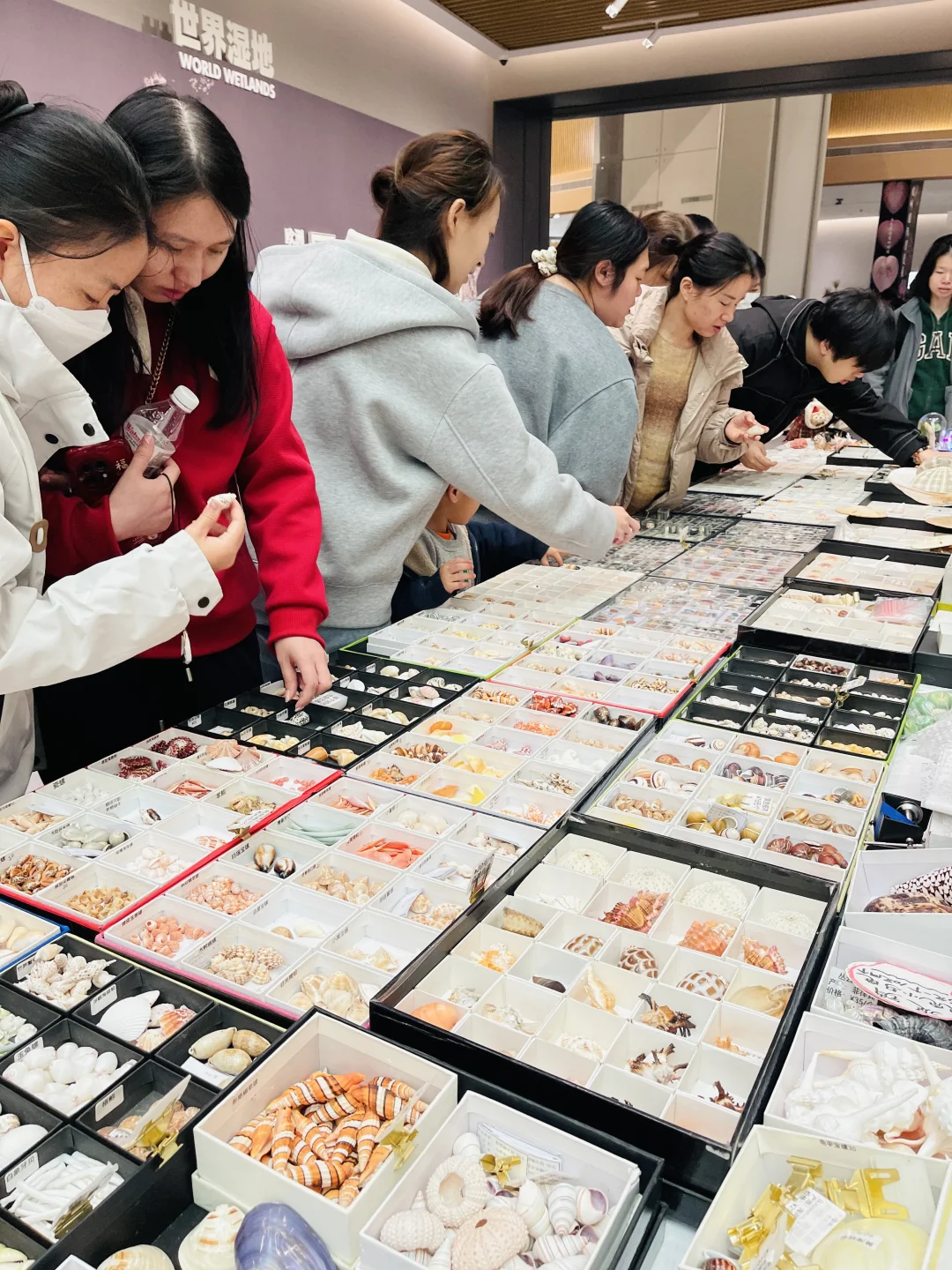 杭州国际贝壳展 现场实图