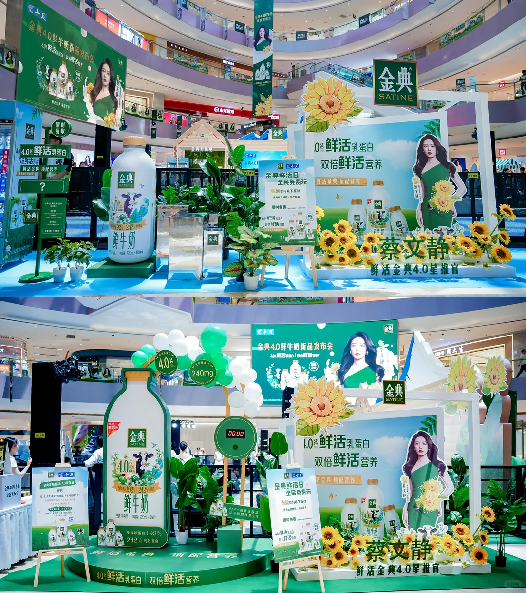 get蔡文静同款新品！金典4.0发布会现场直击