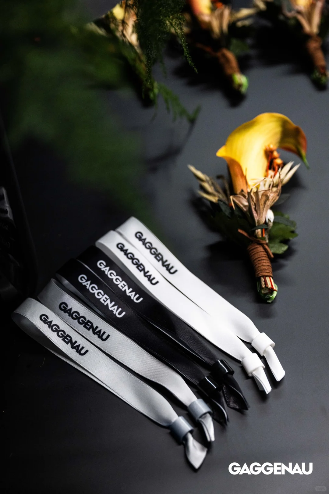 嘉格纳新品发布会