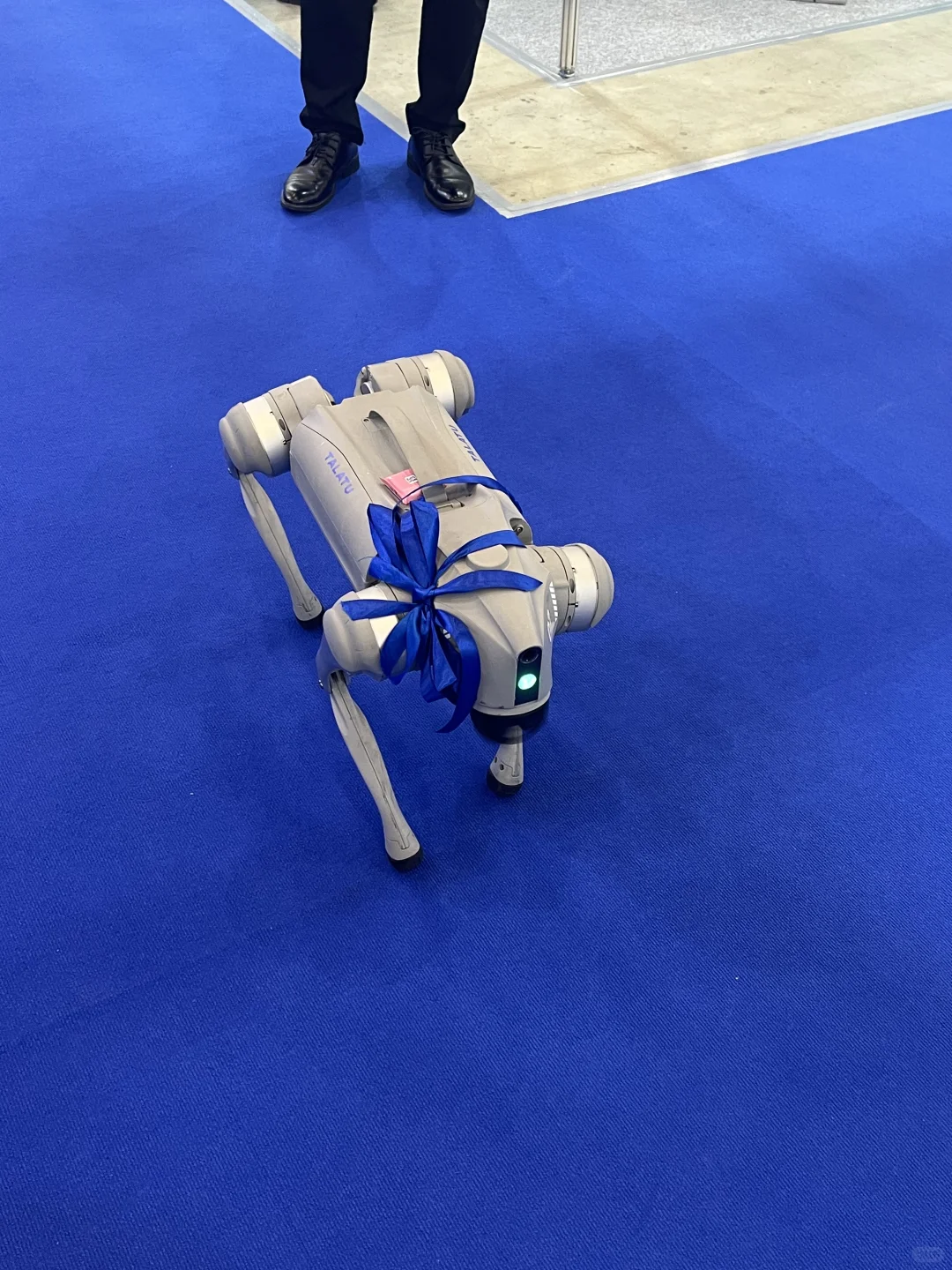 搬家到彼得堡的金属冶金展有哪些新变化？