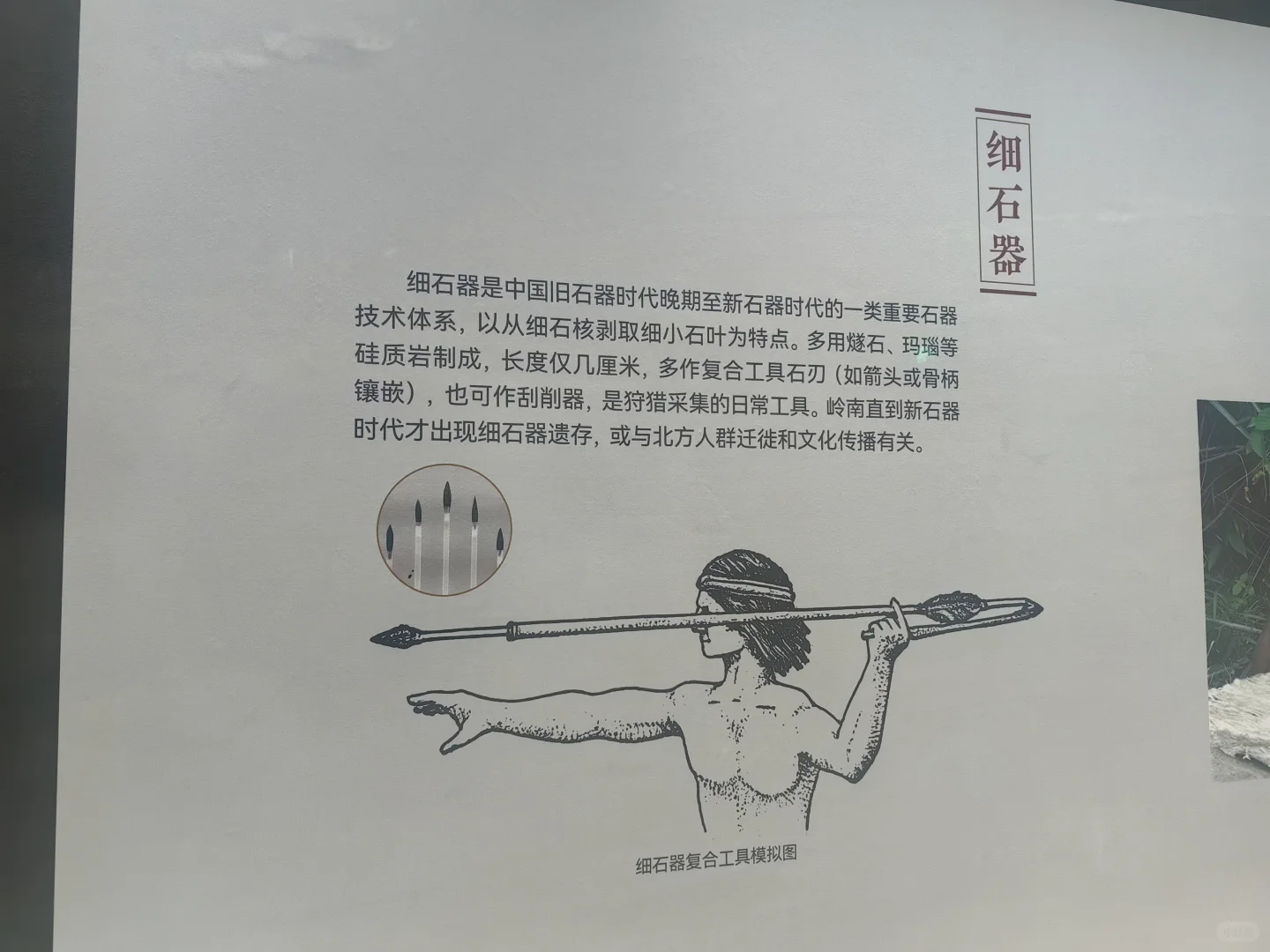 从石器时代开始了解广东